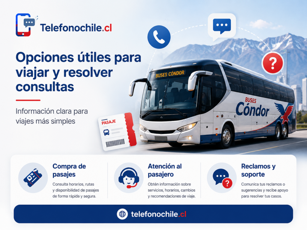 Buses Cóndor