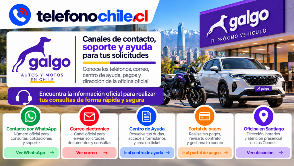 Galgo Chile