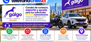 Galgo Chile