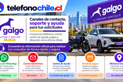 Galgo Chile